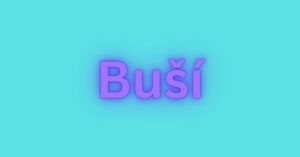 Buší